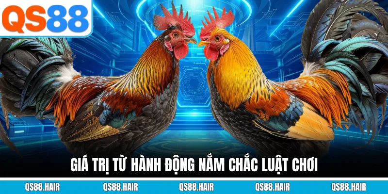 Giá trị từ hành động nắm chắc luật chơi